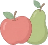 fruit_pome illustration