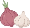 veg_allium illustration