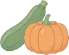 veg_squash illustration